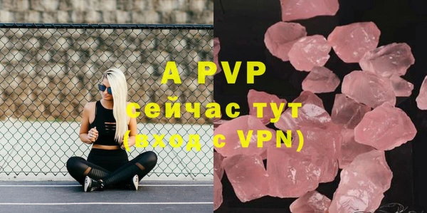 прущий лед Гусев