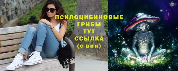 MDMA Гусь-Хрустальный