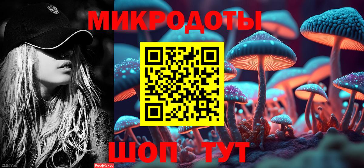Псилоцибиновые грибы Magic Shrooms Элиста
