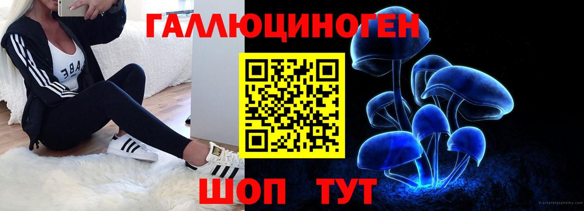 Элиста  Галлюциногенные грибы MAGIC MUSHROOMS  Вход с VPN 